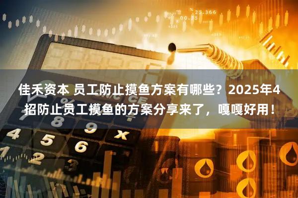 佳禾资本 员工防止摸鱼方案有哪些？2025年4招防止员工摸鱼的方案分享来了，嘎嘎好用！
