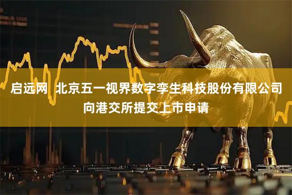 启远网  北京五一视界数字孪生科技股份有限公司向港交所提交上市申请