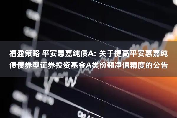 福盈策略 平安惠嘉纯债A: 关于提高平安惠嘉纯债债券型证券投资基金A类份额净值精度的公告
