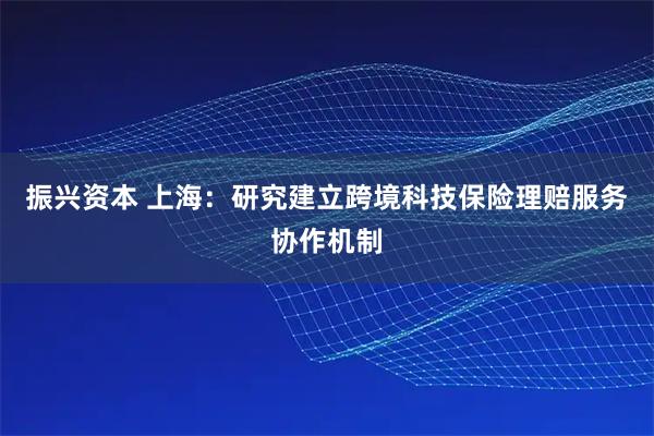 振兴资本 上海:研究建立跨境科技保险理赔服务协作机制